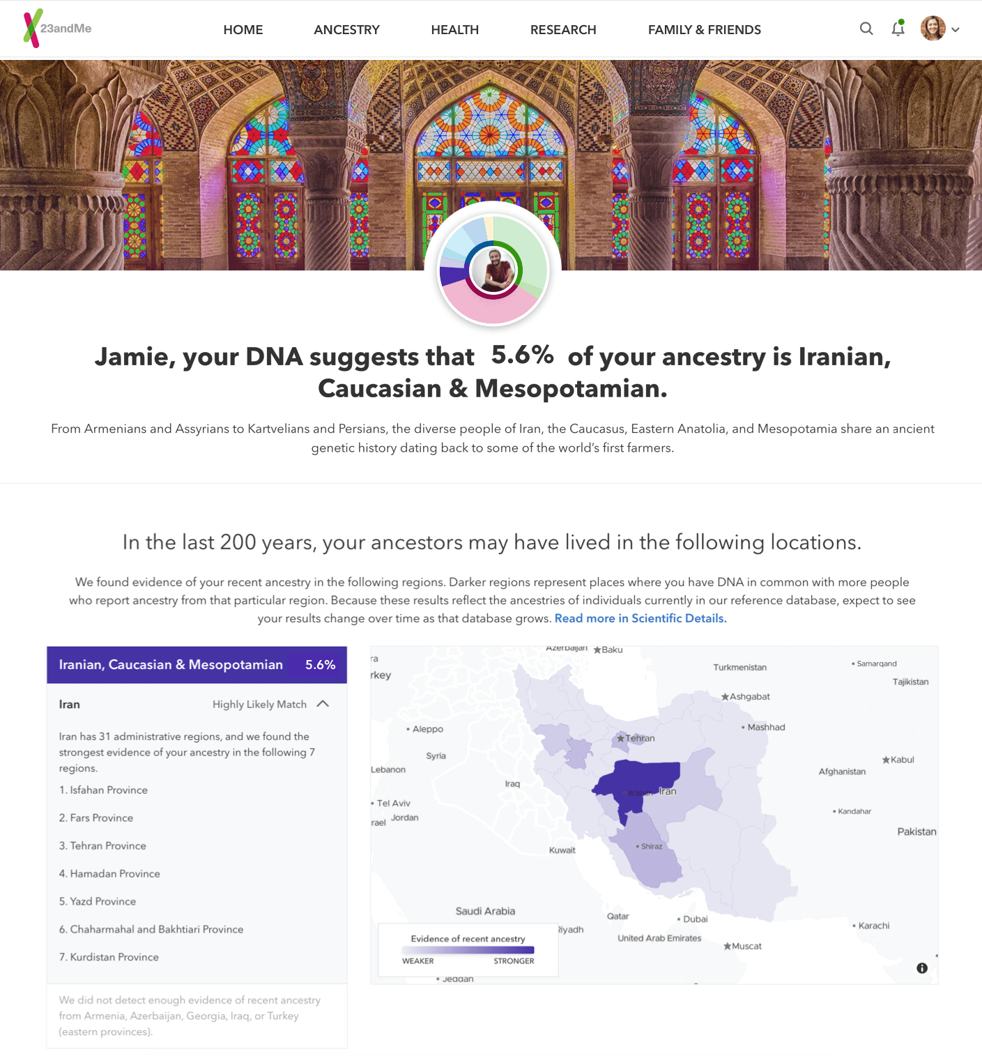 Iranian, Caucasia and Mesopotamian Ancestry in Detail