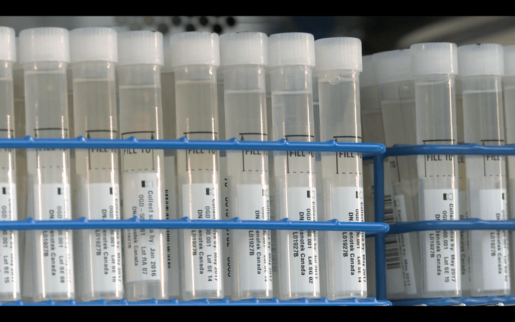 Sample Tubes