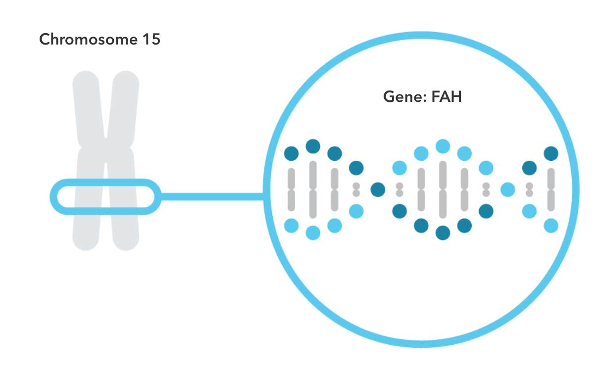 23andMe & Your Genetics